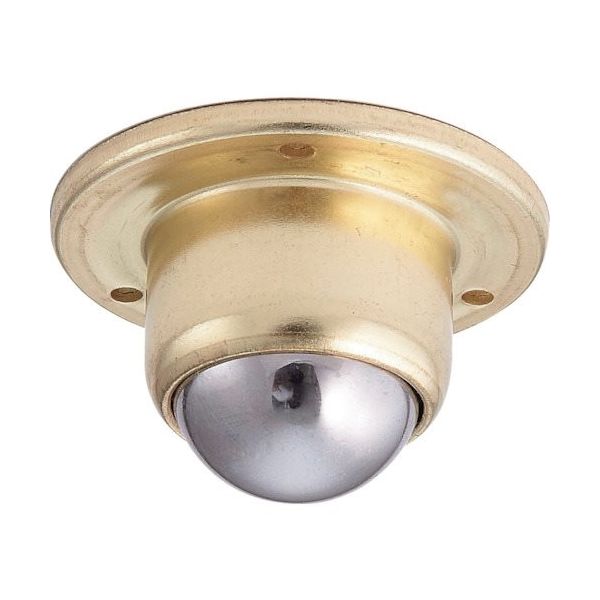 スガツネ工業 SUGATSUNE (200133021)BMー25面打ボールキャスター BM-25 1個 132-1236（直送品）