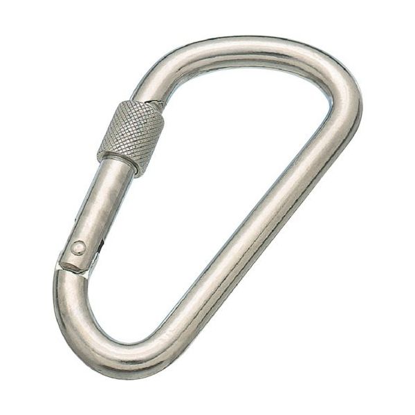 水本機械製作所 水本 ステンレス カラビナD型 SUS316 環付 KD-10B 316 1個 315-8640（直送品）