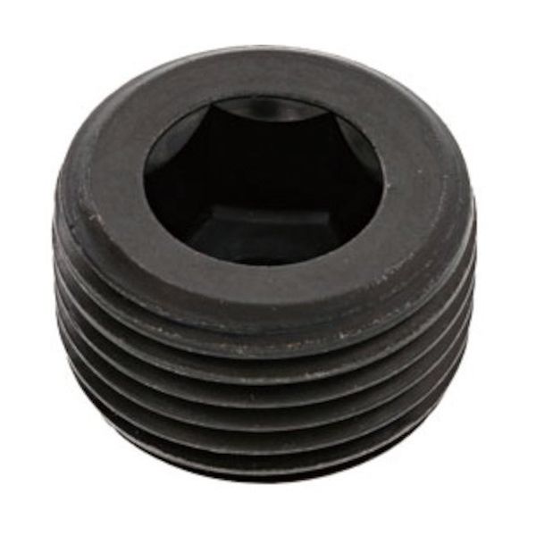 SUNCO プラグ(沈み カクマル PT 11/2 (1本入) A0-00-571K-8140-0000-00-1 1パック(1本)（直送品）