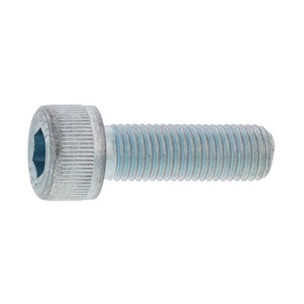 SUNCO CAP(六角穴付きボルト)(アンスコ 3×30 (100本入) A0-00-000A-0030-0300-00-100（直送品）