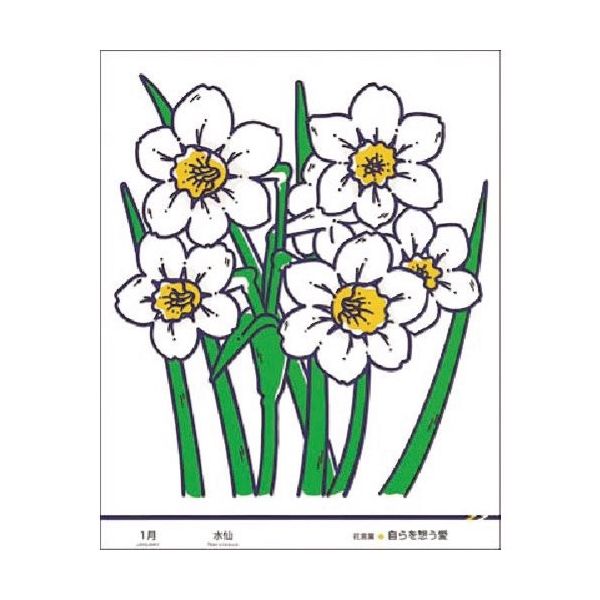 つくし工房 つくし たのし~る[花ことば] 水仙 KS-41 1枚 185-2793（直送品）