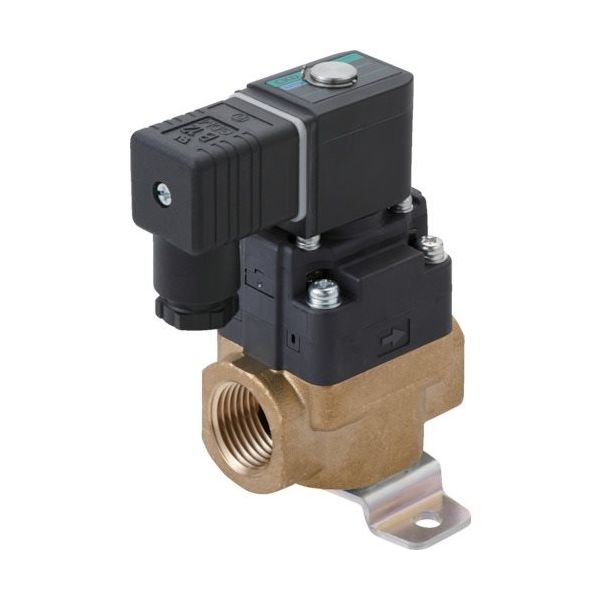 CKD 水用小形パイロット式電磁弁 FWD11-10A-D2GS-AC100V 1個 838-7900（直送品）