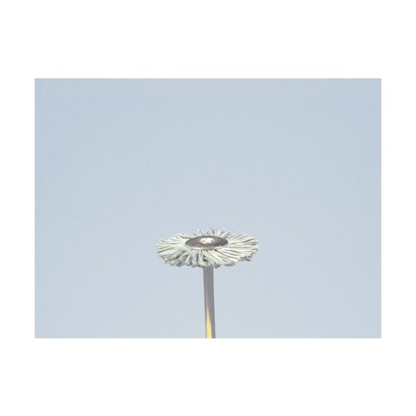 柳瀬 ヤナセ 精密ホイールブラシ 砥粒入りユニロン 25x7x3x40 #500 B25HK 1セット(10個) 812-3559（直送品）