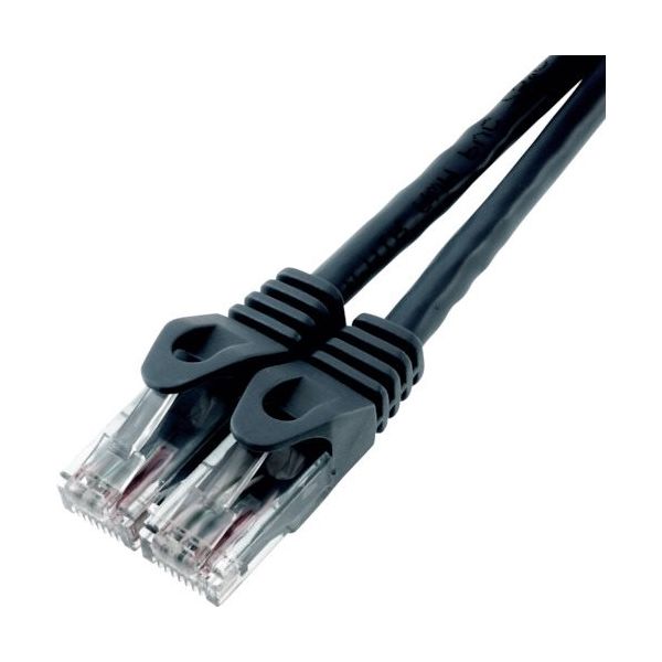 ホーリック HORIC LANケーブル UTP カテゴリー6A 5m ブラック LC50ー581RB 1個 382-3284（直送品）