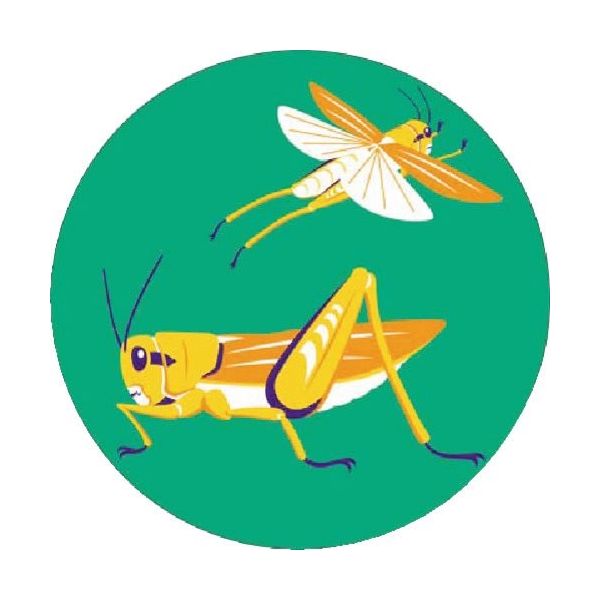 つくし工房 つくし たのし~る[こんちゅう2] ばった KS-134 1枚 184-8005（直送品）