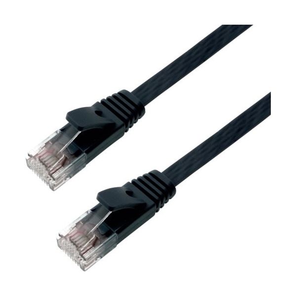 ホーリック HORIC LANケーブル UTP カテゴリー6A フラット 10m ブラック LC100ー576FB 1個 382-3273（直送品）