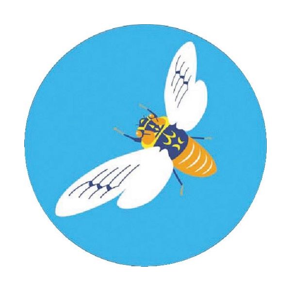 つくし工房 つくし たのし~る[こんちゅう1] えぞぜみ KS-25 1枚 184-9683（直送品）