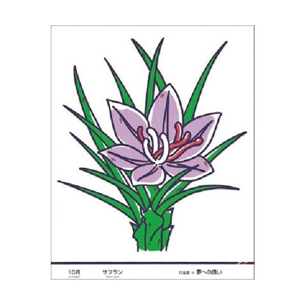 つくし工房 つくし たのし~る[花ことば] サフラン KS-50 1枚 185-1168（直送品）