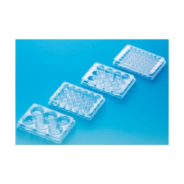 東京硝子器械 TGK マルチウェルプレート 6ウェル1 50包 725-28-03-11 1箱(50個) 183-9482（直送品）