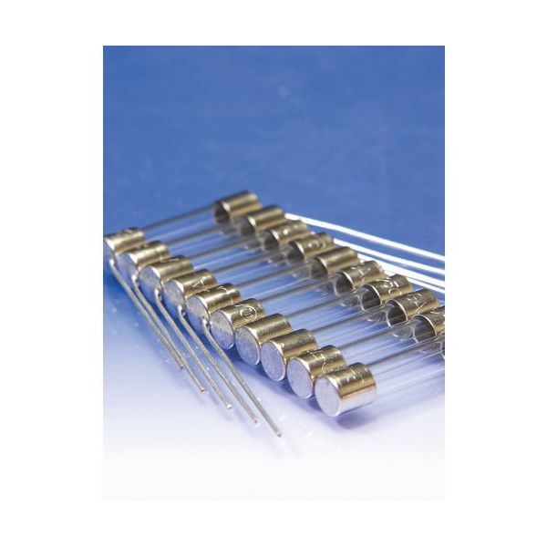 ガラス管ヒューズ FGBOシリーズ 1A 6.4×30mm 100個入 FGBO-A250V1A-100 冨士端子工業 冨士端子 ガラス管ヒューズ FGBOシリーズ 1A 6.4