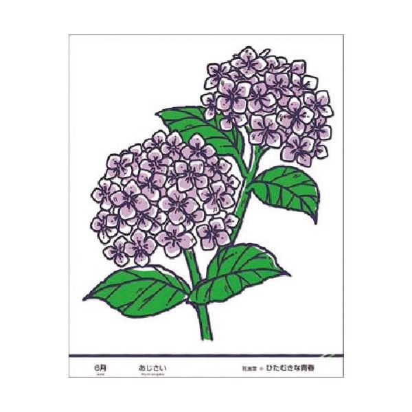 つくし工房 つくし たのし~る[花ことば] あじさい KS-46 1枚 185-4341（直送品）