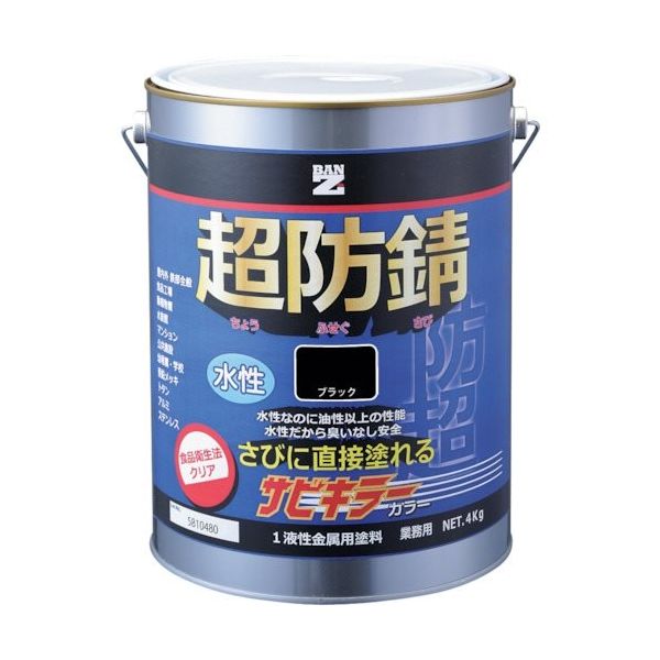 BANーZI 防錆塗料 サビキラーカラー 4kg 黒 Nー10 B-SKC/K04B 1缶 369-8574（直送品）
