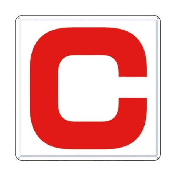 つくし工房 つくし 通り芯表示(カラー鋼板) [C] J66-C 1枚 183-5428（直送品）