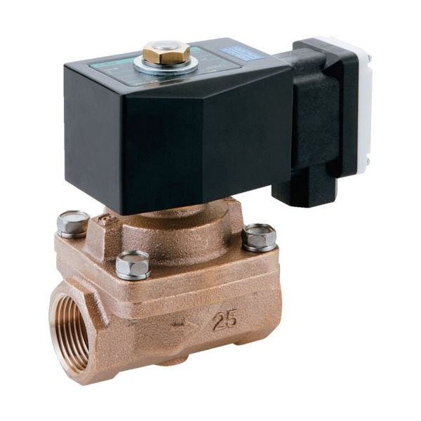 CKD 蒸気用パイロットキック式2ポート電磁弁 SPK11-20A-K4N-AC220V 1個 119-3566（直送品）