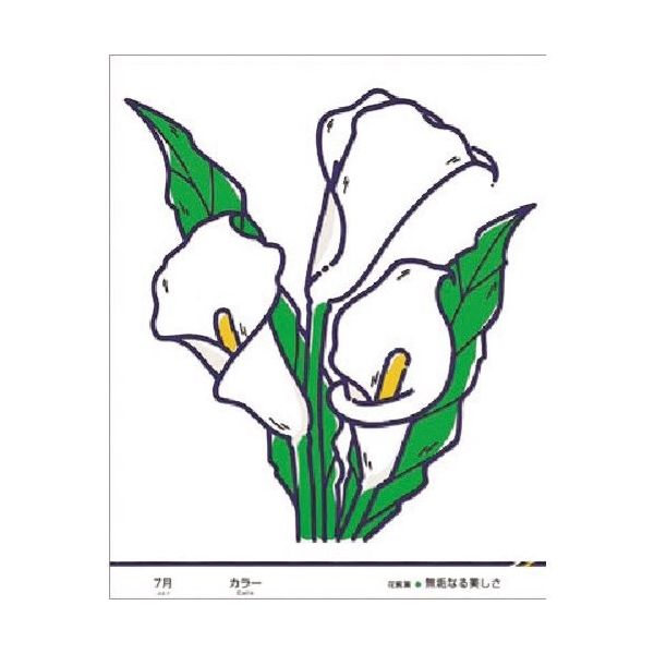 つくし工房 つくし たのし~る[花ことば] カラー KS-47 1枚 184-6447（直送品）