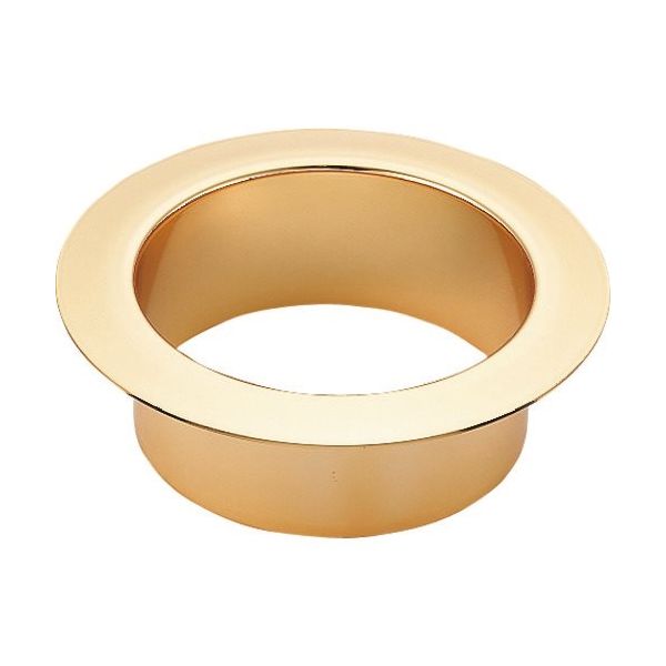 スガツネ工業 SUGATSUNE (210022094)ANーDH008ーGPステンレス鋼製 屑入投入口 AN-DH008-GP 1個（直送品）