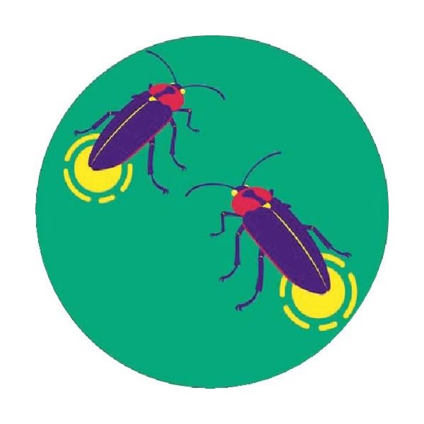 つくし工房 つくし たのし~る[こんちゅう2] ほたる KS-133 1枚 184-9626（直送品）