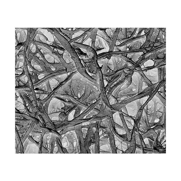 メルク Absorbent pad disc 25mm 100/Pk AP1002500 100PK 1個(100個) 61-0190-35（直送品）