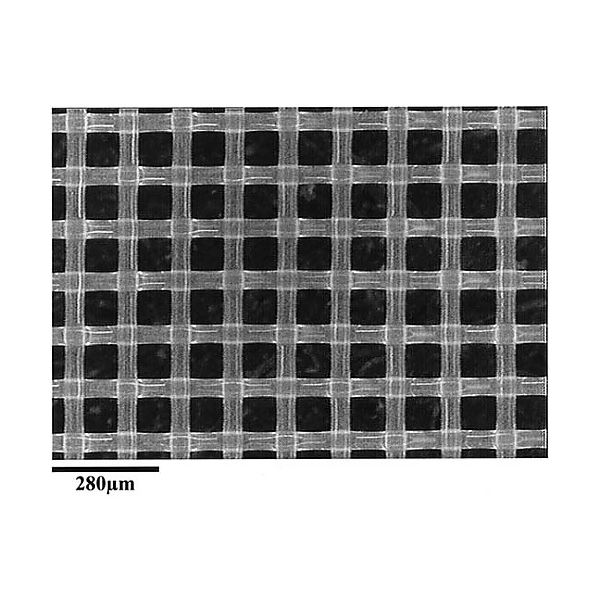 Nylon net filter disc Hydrophilic 30μm 25mm 100/Pk NY3002500 100PK 1個(100個)（直送品）