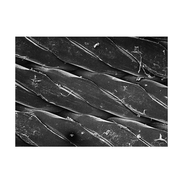 Prefiltration before membrane filtration， hydrophobic， 45 μm 90 mm; 30（直送品）