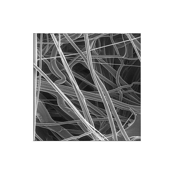 PP prefer disc hydrophobic 30μm 47mm 100/Pk AN3H04700 100PK 1個(100個)（直送品）