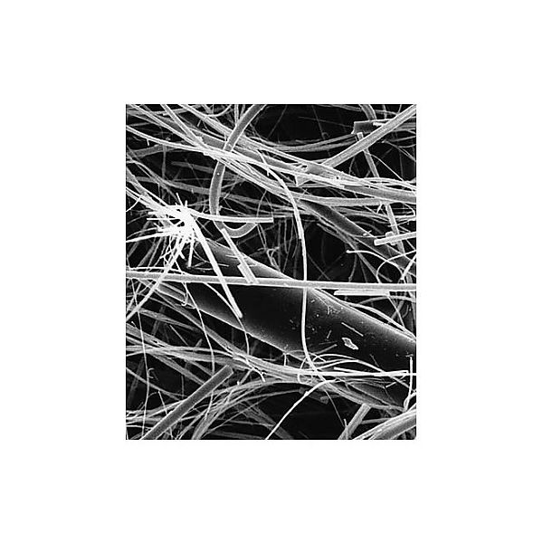 メルク Glass fiber disc w/binder AP20 142mm 50/Pk AP2014250 50PK 1個(50個)（直送品）