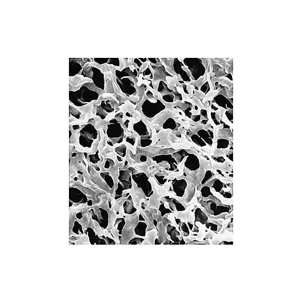 Durapore disc PVDF phobic 0.22μm 25mm wh pln 100/Pk GVHP02500 100PK（直送品）