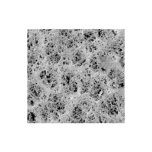 PVC membrane disc 5.0μm 25mm wh pln 100/Pk PVC502500 100PK 1個(100個)（直送品）