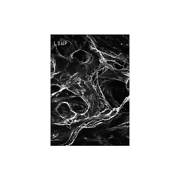 Mitex disc PTFE hydrophobic 5.0μm 25mm wh grd 100/Pk LSWG02500 100PK（直送品）