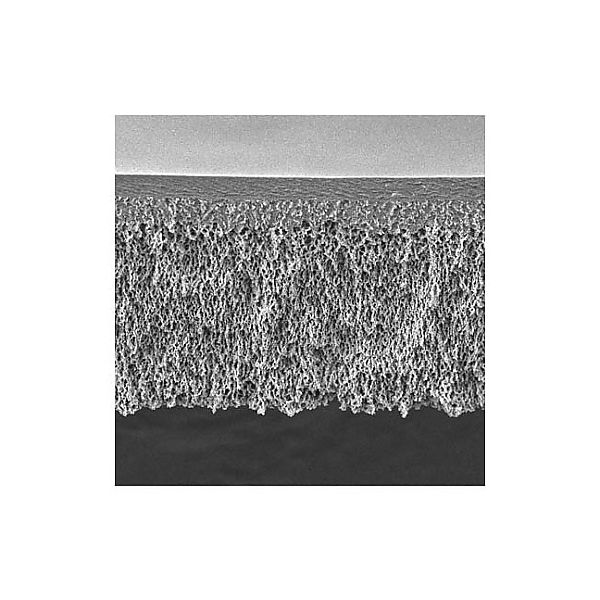 メルク UF Discs PLHK Ultracel RC 100kDa 90mm 5/Pk PLHK09005 5PK 1個(5個)（直送品）