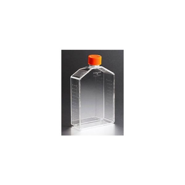 コーニングインターナショナル CellBIND(R)フラスコ175cm2アングルネック ベントキャップ付 3292 1ケース(50個)（直送品）