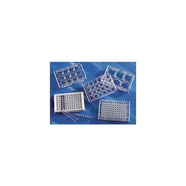 コーニングインターナショナル マルチプルウェルプレート8ウェルストリップ×12ホルダー平底フタ付(個別) 9102 1ケース(50個)（直送品）