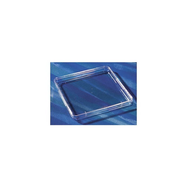 コーニングインターナショナル スクエアディッシュ無処理 5個/パック×4パック 431301 1ケース(20個) 61-4693-04（直送品）