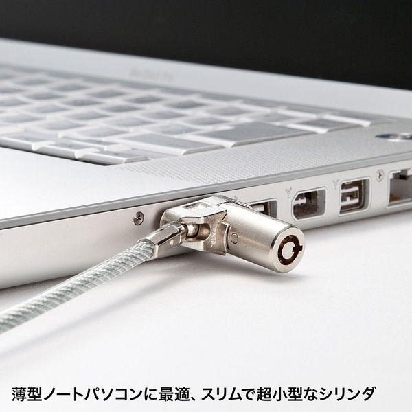 サンワサプライ 超小型シリンダセキュリティ(eセキュリティ・鍵