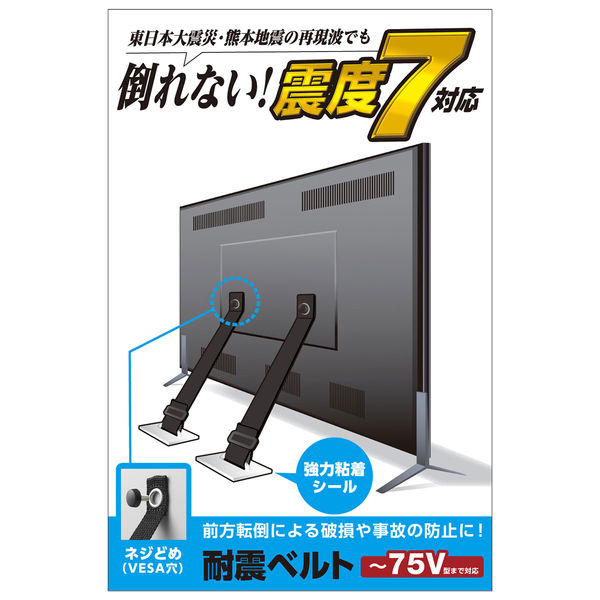 エレコム（ELECOM） TV用耐震ベルト/～75V用/ネジどめタイプ（VESA穴）/2本入 TS-006N 1個（2本入）（直送品）