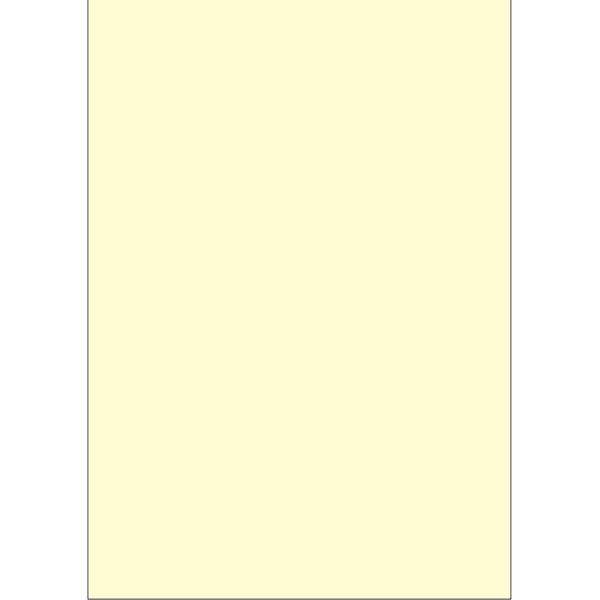 ササガワ タカ印 手作り賞状作成用紙 クリーム B5判 10-1966 50枚（10枚袋入×5冊袋入）（取寄品）