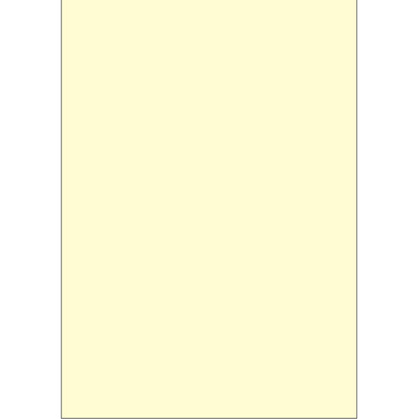 ササガワ タカ印 手作り賞状作成用紙 クリーム A3判 10-1969 50枚（10枚袋入×5冊袋入）（取寄品）