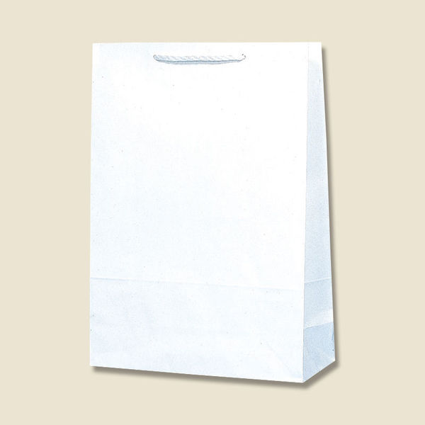 【ケース販売】HEIKO 紙袋 T型チャームバッグ 大判 白無地 003182100 1ケース(50枚入×4袋 合計200枚)（直送品）