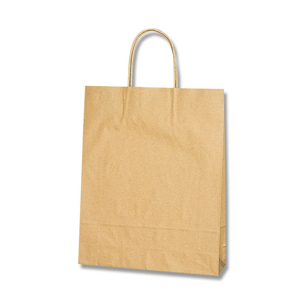 【ケース販売】HEIKO 紙袋 25チャームバッグ STD(スタンダード) 未晒無地 003287100 1ケース(50枚×4袋)（直送品）