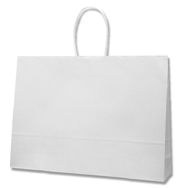 【ケース販売】HEIKO 紙袋 25チャームバッグ 55-1 白無地 003298500 1ケース(50枚入×4袋 合計200枚)（直送品）