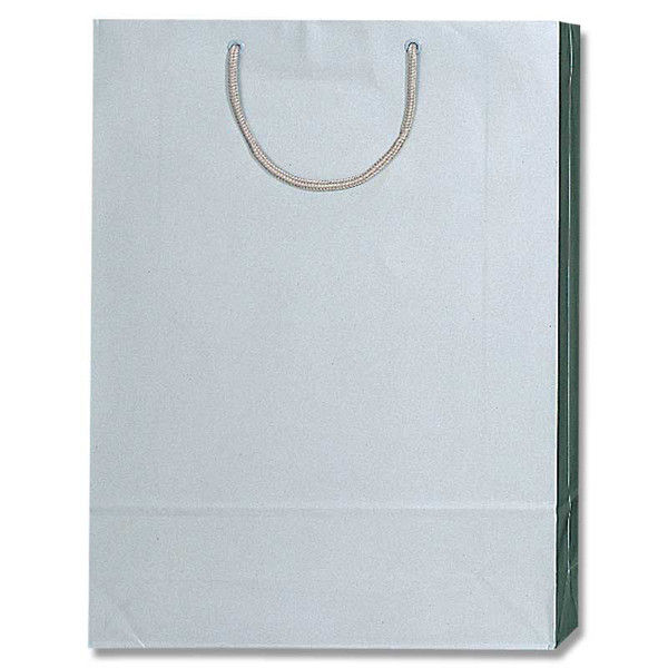 【ケース販売】シモジマ HEIKO 紙袋 ブライトバッグ G2 銀 006138004 1ケース(10枚入×15袋 合計150枚)（直送品）
