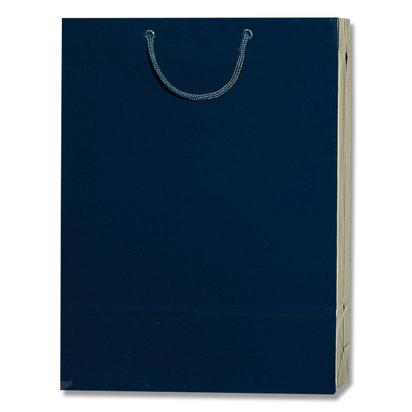 バッグ・袋 紙袋 ブライトバッグ 紫紺 ケース販売HEIKO G2 006138023 1