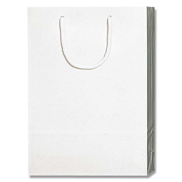 【ケース販売】HEIKO 紙袋 ブライトバッグ SWT 白 006138201 1ケース(10枚入×30袋 合計300枚)（直送品）