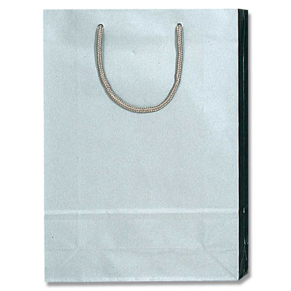 【ケース販売】HEIKO 紙袋 ブライトバッグ SWT 銀 006138204 1ケース(10枚入×30袋 合計300枚)（直送品）