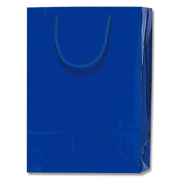 【ケース販売】HEIKO 紙袋 ブライトバッグ SWT 紺 006138208 1ケース(10枚入×30袋 合計300枚)（直送品）