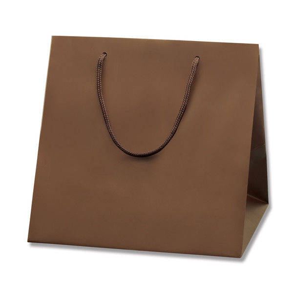 【ケース販売】HEIKO 紙袋 ブライトバッグ C1 チョコブラウン(MT) 006459502 1ケース(10枚入×20袋)（直送品）
