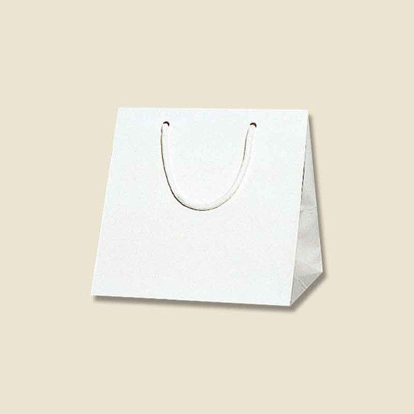 【ケース販売】シモジマ HEIKO 紙袋 ブライトバッグ C2 白 006459600 1ケース(10枚入×20袋 合計200枚)（直送品）