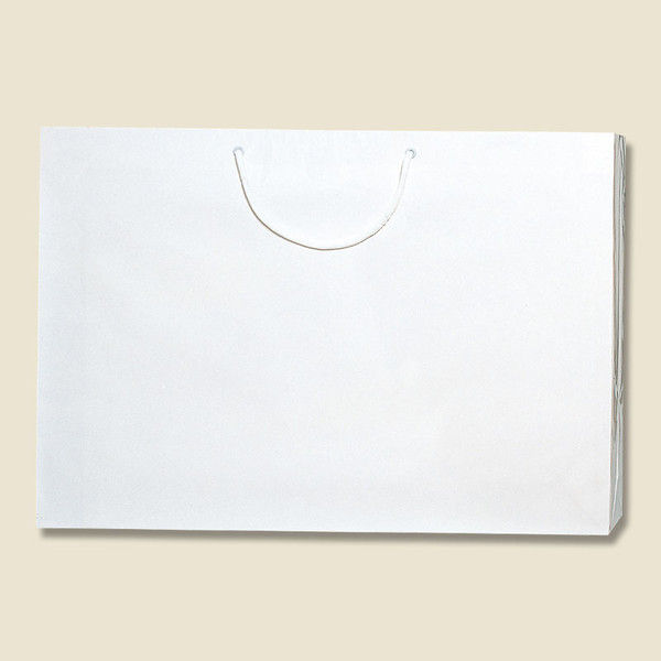 【ケース販売】シモジマ HEIKO 紙袋 ブライトバッグ LL 白 006459800 1ケース(10枚入×5袋 合計50枚)（直送品）