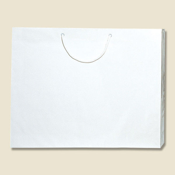 【ケース販売】シモジマ HEIKO 手提げ紙袋 ブライトバッグ L 白 006459900 1ケース(10枚入×5袋 合計50枚)（直送品）