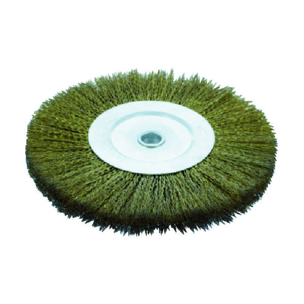 トラスコ中山 TRUSCO ホイルブラシ φ250X19.05(19)mm穴 真鍮メッキ鋼線 線径0.35 TB-6381 1個（直送品）